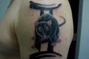 Tattoo ikrek fotók - konstelláció férfi és női tetoválás, mester tetováló mester