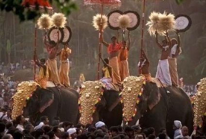 Thrissur puram - az elefántok fesztiválja Indiában - nemzeti ünnep