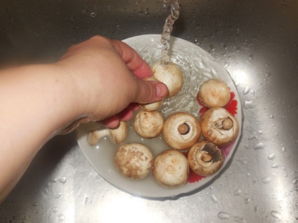Ciuperci ciupite în smântână într-o tigaie - cum să pregătească șampiunele în smântână, pas cu pas rețetă