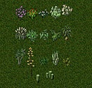 Ultima online, ultimul online, ultima online, totul despre ultimas online, freeshard, harti de comori, ghid