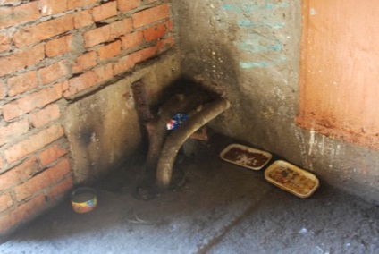 În kachkanar, locuitorii unei case de apartamente se află la căpriori datorită hrănirii pisicilor fără stăpân