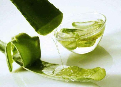 Aplicare internă (orală) a aloe vera, aloe vera - sănătate pentru toți!