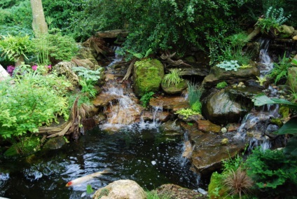 Cascade și cascade farmecul de a cădea apă