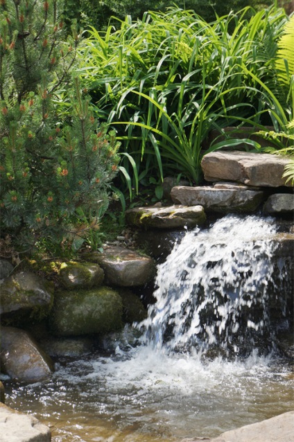 Cascade și cascade farmecul de a cădea apă