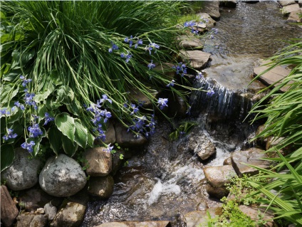 Cascade și cascade farmecul de a cădea apă