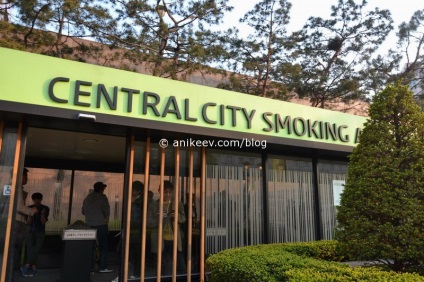 Mindössze annyit kell tudnia a dohányzásról Koreában, anikeev blogjában