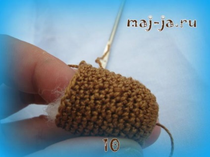 Legume tricotate tricotate