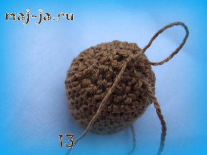 Legume tricotate tricotate