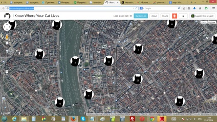 Știu unde trăiește pisica ta - harta lumii Kote