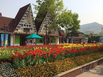 Coreea de Sud, parc de distracții seul teren