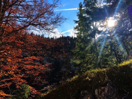 Castelul Noischwanstein este tot ce trebuie să știe un călător! Călătorii maniac