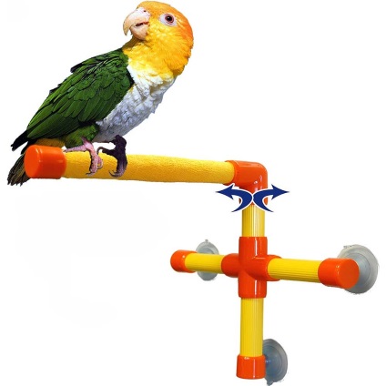 Papagalii pentru papagali - care este cel mai bun copac, cum să vă faceți propriile mâini