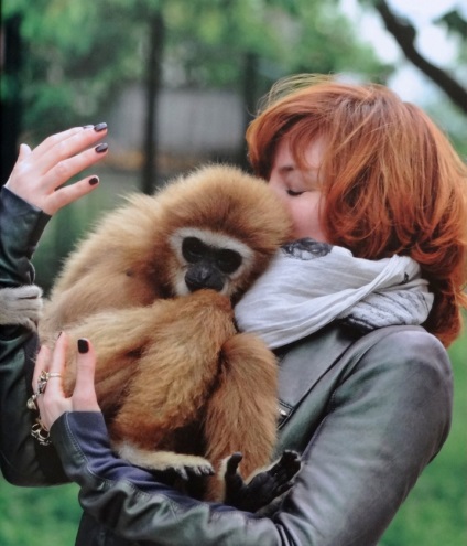 Celebrele stele fără copii care nu vor să aibă copii