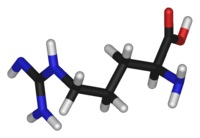 COOH алифатна аминокиселина