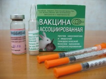 ваксинация зайци