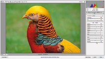 photoshop съвети