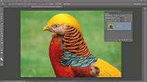 photoshop съвети