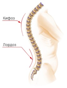 гръбначния стълб