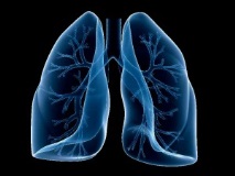 дробове