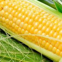 Защо царевицата