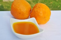 портокалов