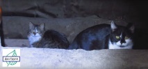 унищожаване откъдето