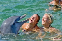делфините както хората