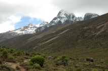 планината Кения