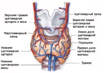 център