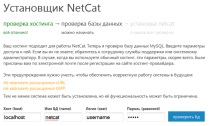 netcat