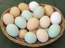 яйцата