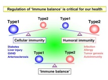 имунитета