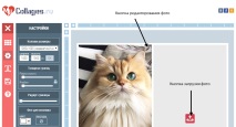 прави прави