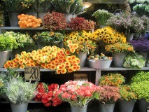 Бизнес с цветя - печеливш или не, как да отворите и организирате бизнес