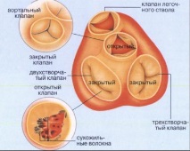 цени