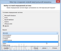 vmware hypervisor