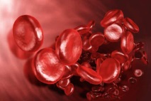 нивото хемоглобина кръвта