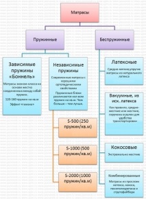 избор избор