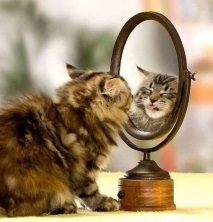 огледалото