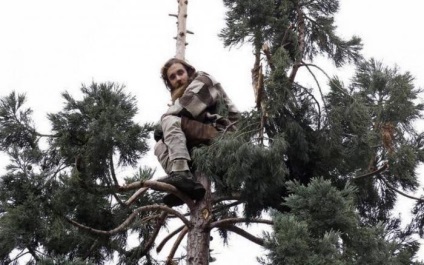 10 lucruri uimitoare despre copaci (arbori) 10 lucruri uimitoare despre copaci