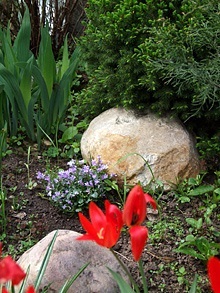 11 moduri simple de a decora grădină (căile) 11 moduri simple de a decora gradina