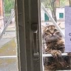 De ce să se teamă de noi () Și ce trebuie să ne temem