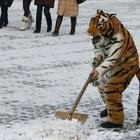 De ce să se teamă de noi () Și ce trebuie să ne temem