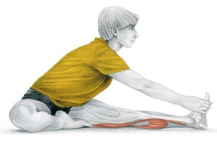 Anatomia de exerciții de stretching în imagini pentru brate si picioare (coapse Doing Sit) Anatomia se întinde în imagini pentru mâini și picioare exerciții