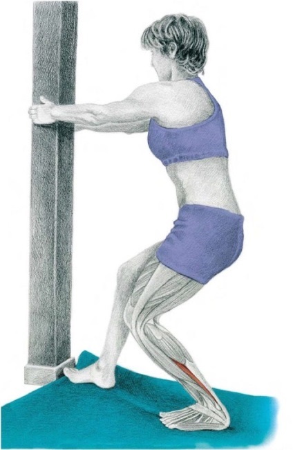 Anatomia de exerciții de stretching în imagini pentru a brațelor și picioarelor (exerciții) Anatomia se întinde în imagini pentru mâini și picioare exerciții