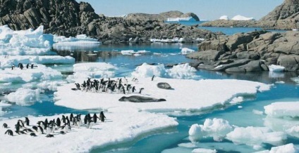 zonă naturală deșert Antarctica