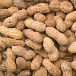beneficii Alune, daune și calorii conținut, produse alimentare și de sănătate (prestații) Alune beneficii, daune și calorii conținut, produse alimentare și de sănătate
