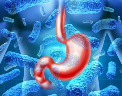 Bacteriile din corpul uman, utile și dăunătoare, rol, cantitatea, greutatea, tehnicile lor de penetrare (utile) Bacteriile din corpul uman, utile și dăunătoare, tehnicile lor rol, cantitate, greutate, penetrare,