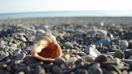 Ideea de afaceri Echipează plajă (plajă) Ideea de afaceri Echipează plajă