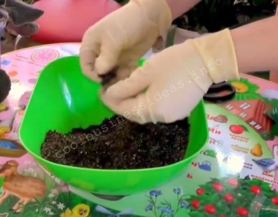 de reproducție de afaceri fialkok planul uzambarskih (planul) Planul de afaceri de reproducție uzambarskih fialkok